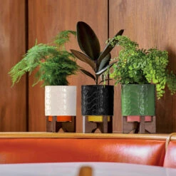 Orla Kiely Debossed Sixties Stem Black Ceramic Plant Pot -Orla Kiely 147430 orla kiely debossed sixties stem black ceramic plant pot cream 1