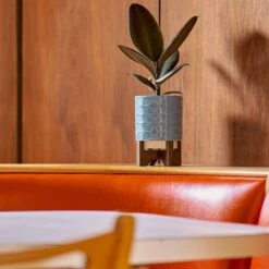 Orla Kiely Sixties Stem Sky Ceramic Plant Pot -Orla Kiely orla kiely lifestyle ok644